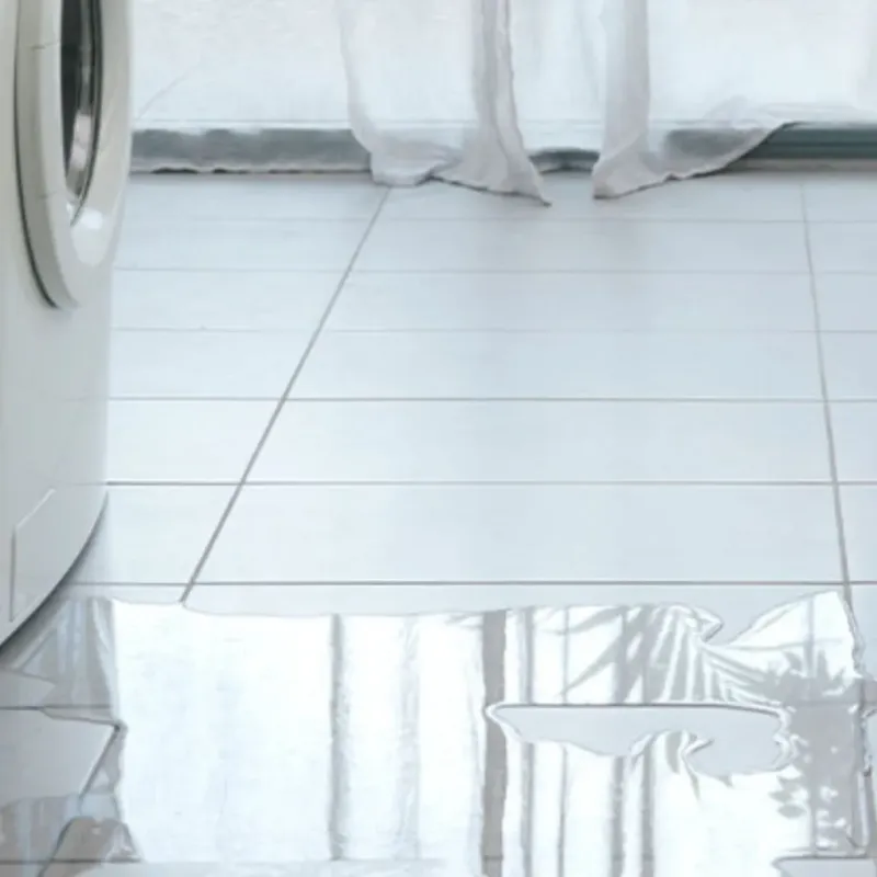 Appliance Leak Cleanup in Winnebago County, WI