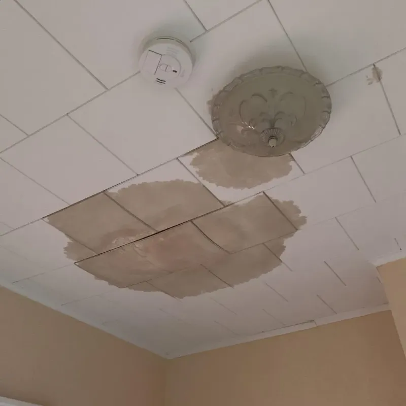 Ceiling Water Damage Repair in Winnebago County, WI