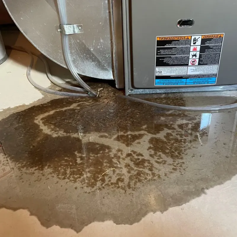 Pipe Burst and Leak Restoration in Winnebago County, WI